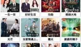 爆料时间蓝莓视频,揭秘事件背后真相